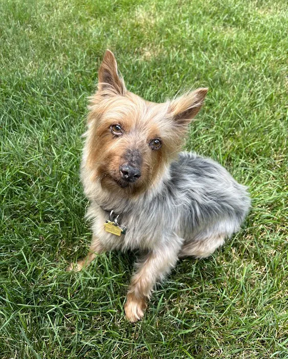 Sheboygan Animal Hospital Picture 5