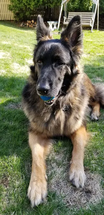 Sheboygan Animal Hospital Picture 4