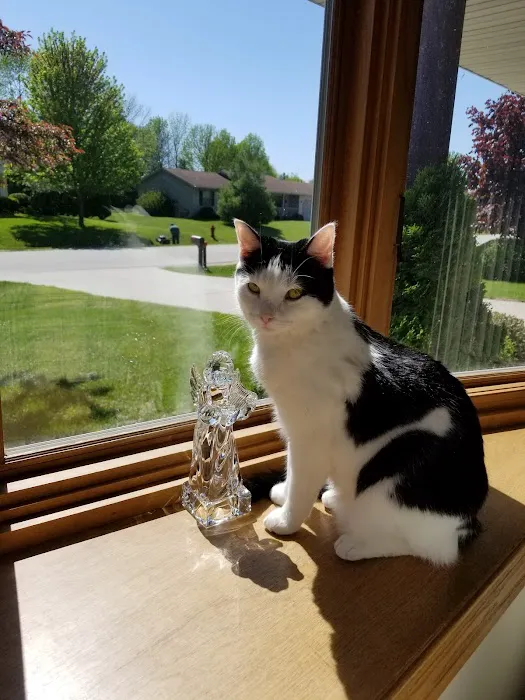 Sheboygan Animal Hospital Picture 3