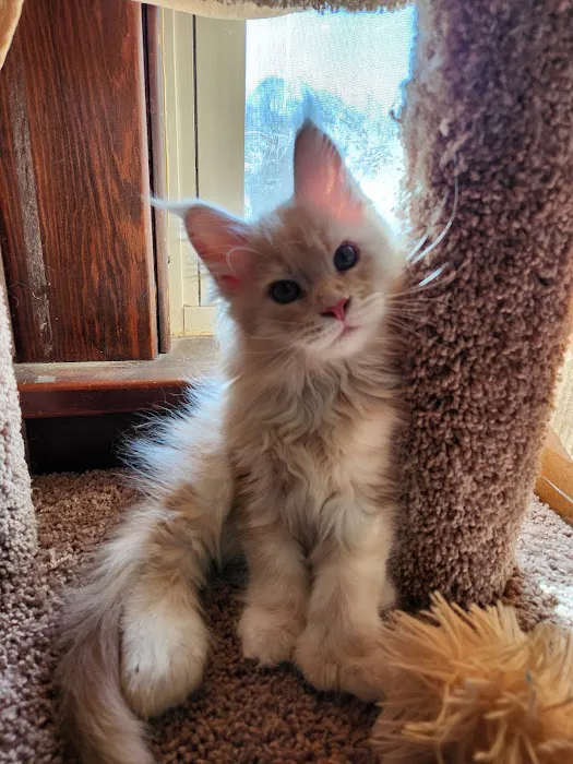 Sheboygan Animal Hospital Picture 9