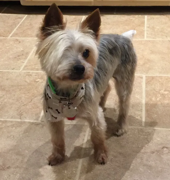 Sheboygan Animal Hospital Picture 7