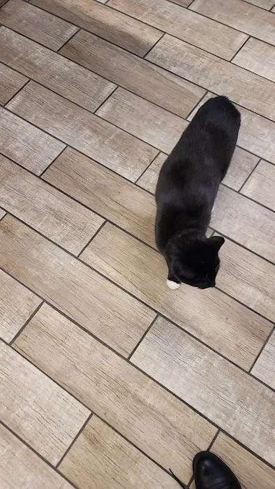 Sheboygan Animal Hospital: Van Beek Stephanie DVM Picture 3