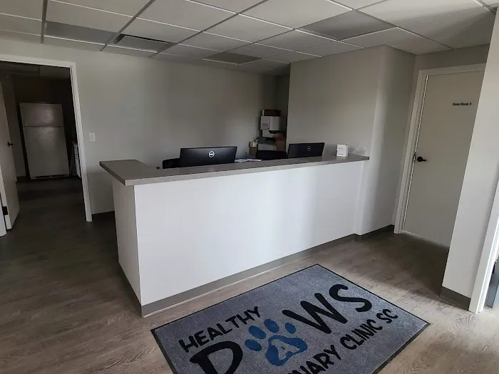 Healthy Paws of Sheboygan Picture 3