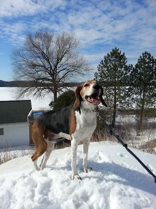 Healthy Paws of Sheboygan Picture 6