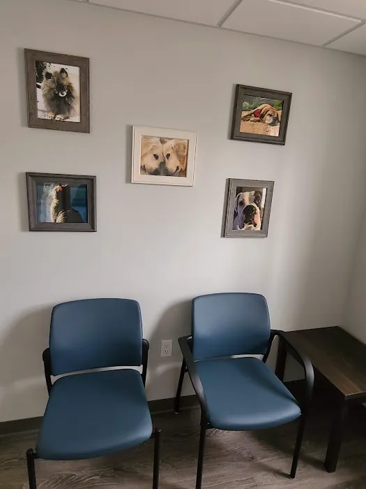 Healthy Paws of Sheboygan Picture 10