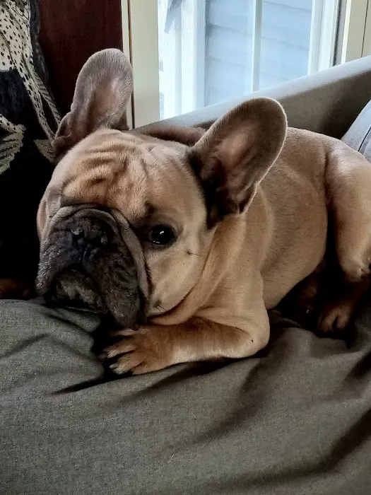 Valders Veterinary Clinic Picture 1