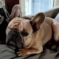 Valders Veterinary Clinic ico