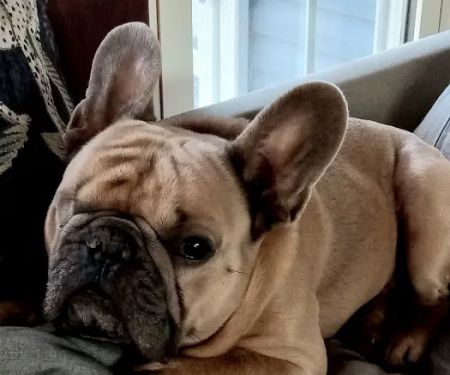 Valders Veterinary Clinic