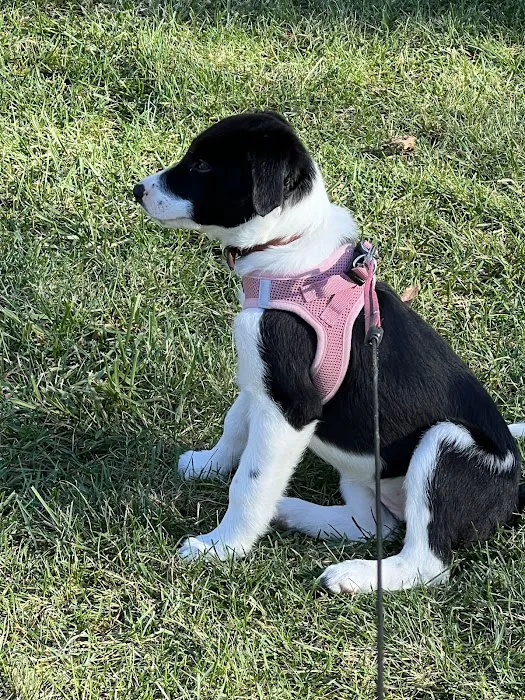 Valders Veterinary Clinic Picture 3