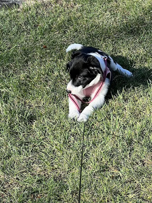 Valders Veterinary Clinic Picture 2