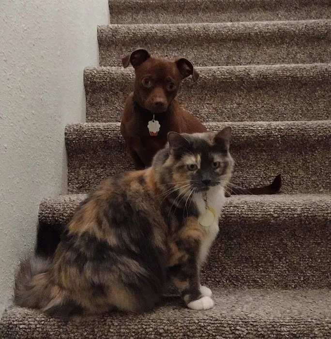 Valders Veterinary Clinic Picture 4