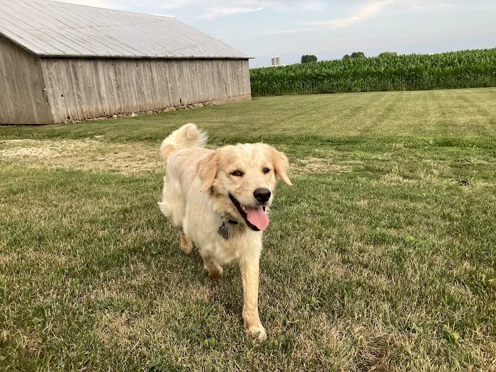 Valders Veterinary Clinic Picture 5