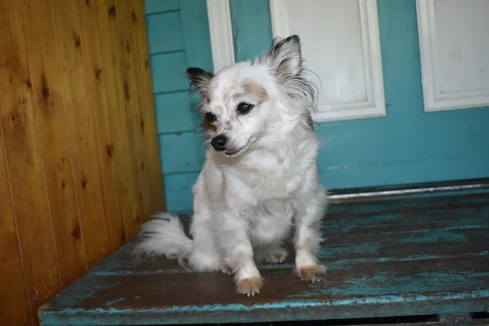 Valders Veterinary Clinic Picture 7