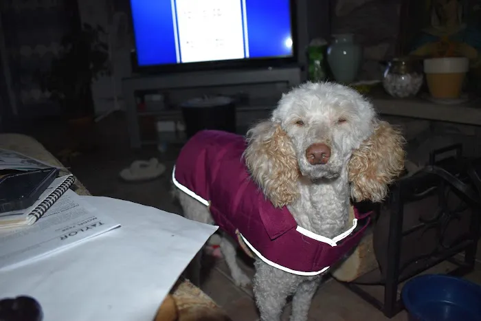 Valders Veterinary Clinic Picture 6