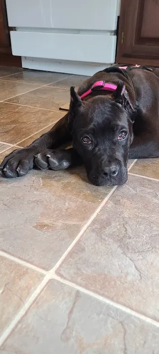 Valders Veterinary Clinic Picture 9