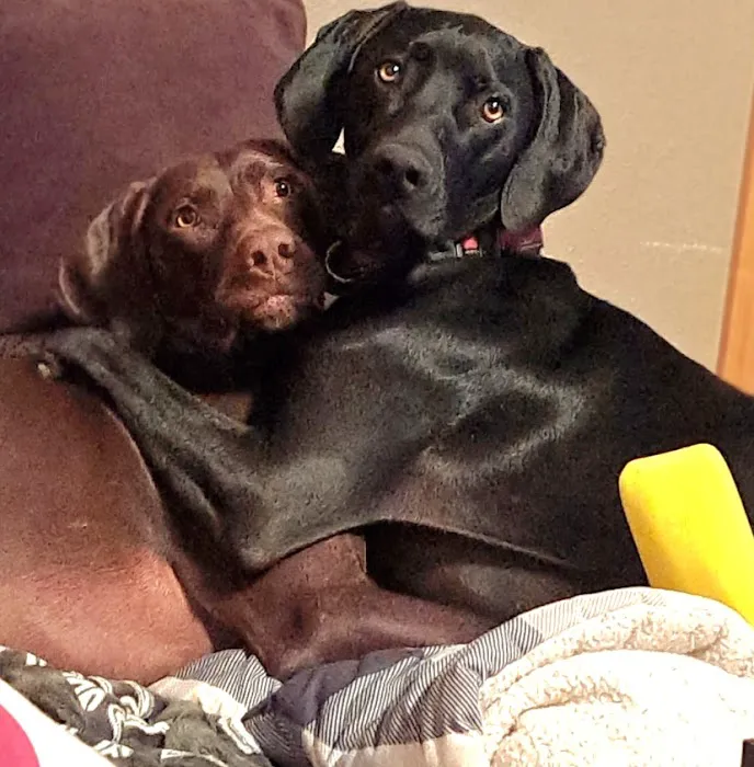 Valders Veterinary Clinic Picture 10