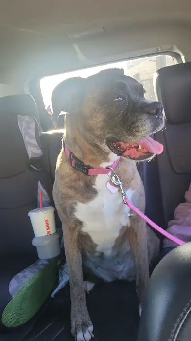 Valders Veterinary Clinic Picture 8