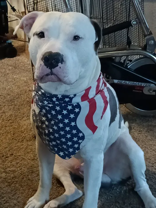 High Cliff Veterinary Services Picture 1