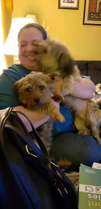 High Cliff Veterinary Services Picture 2