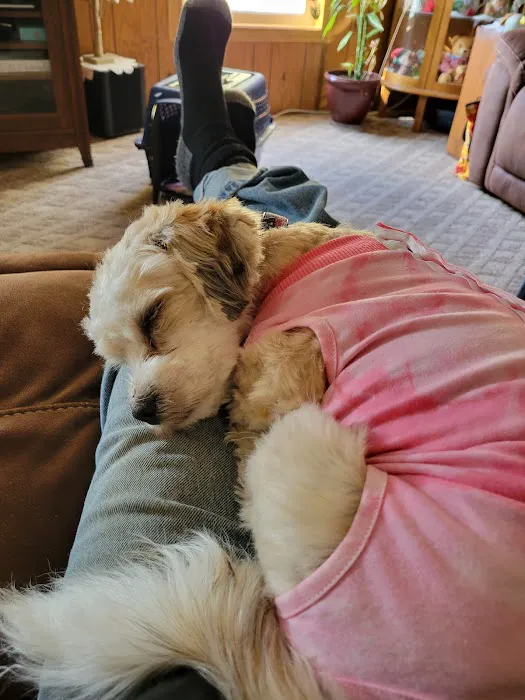 Veterinary Associates, LLC Picture 3