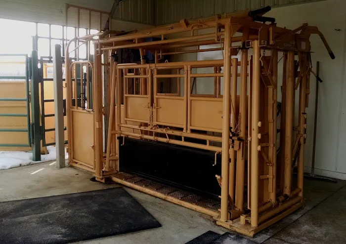 Veterinary Associates, LLC Picture 10