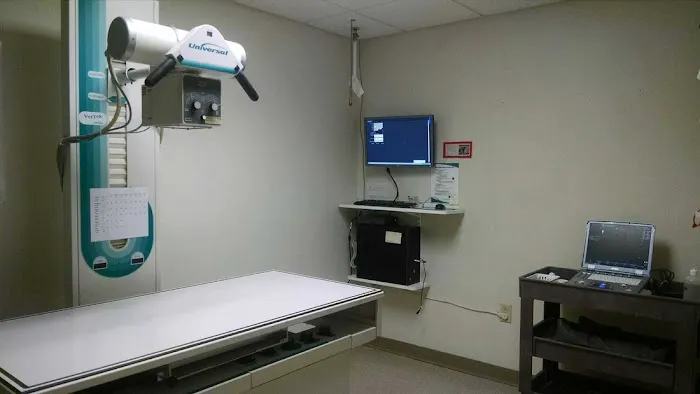 Veterinary Associates, LLC Picture 7