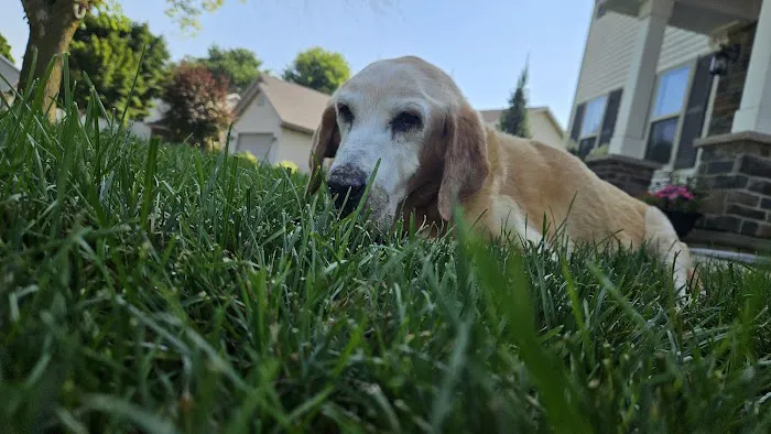 Sherwood Animal Hospital Picture 1