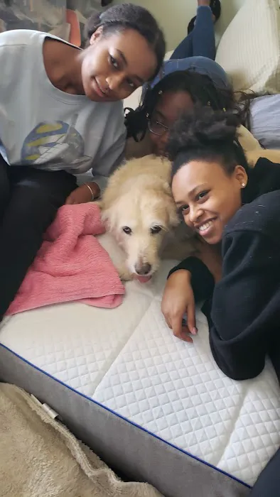 Sherwood Animal Hospital Picture 5