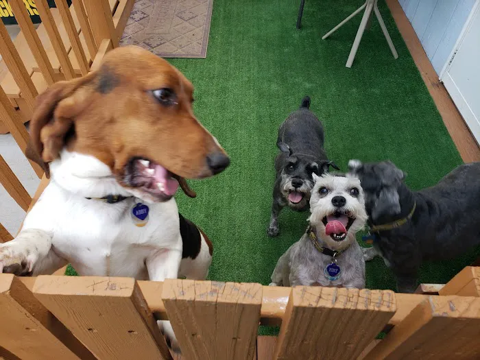 Sherwood Animal Hospital Picture 4