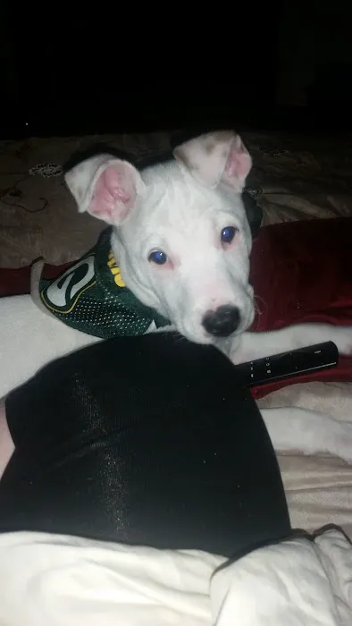 Sherwood Animal Hospital Picture 6