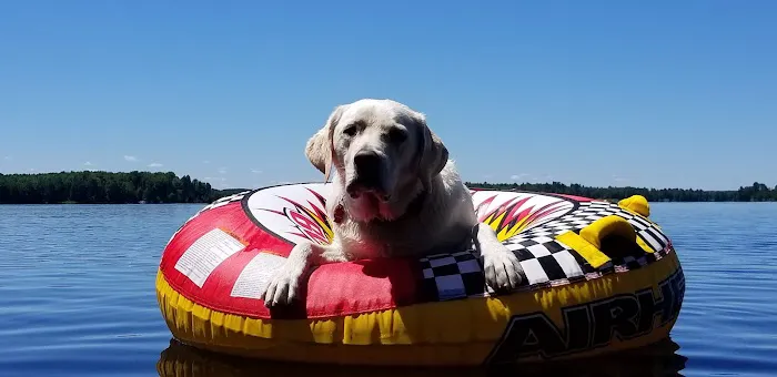 Sherwood Animal Hospital Picture 2