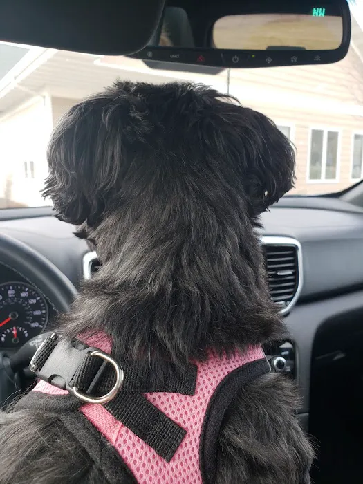 Sherwood Animal Hospital Picture 8