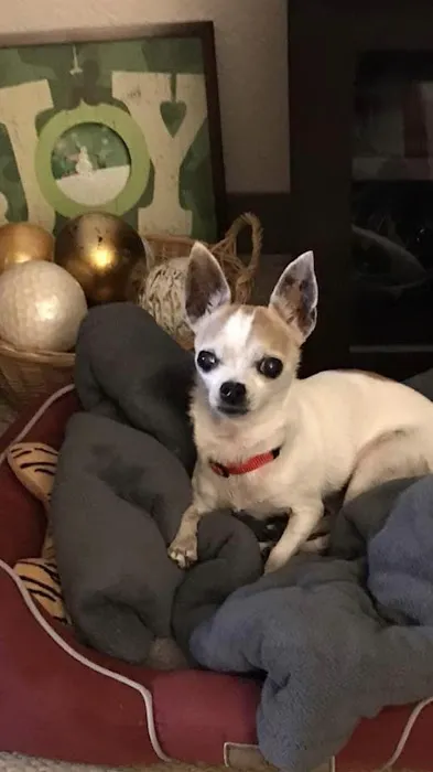 Port Veterinary Clinic Picture 5