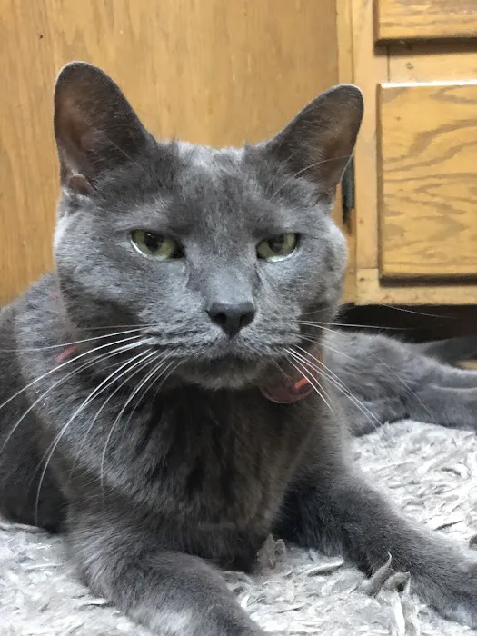 Port Veterinary Clinic Picture 3