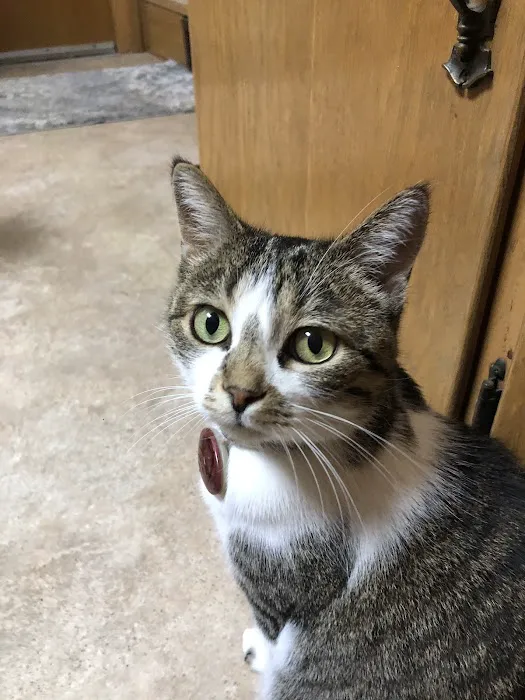 Port Veterinary Clinic Picture 2