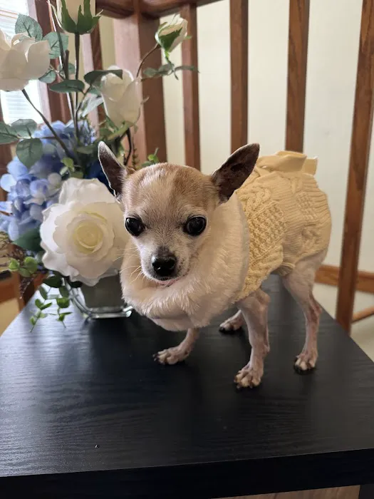 Port Veterinary Clinic Picture 8