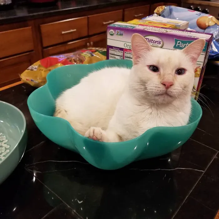 Port Veterinary Clinic Picture 6