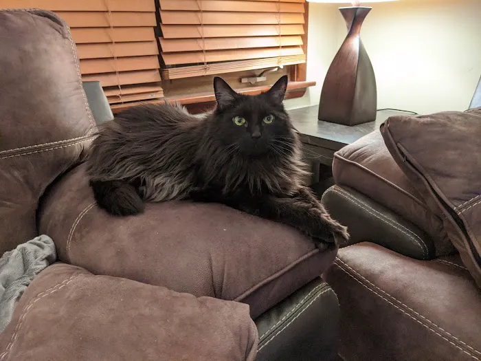 Port Veterinary Clinic Picture 9