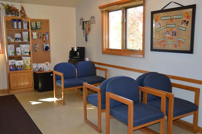 The Little Animal Hospital Picture 2