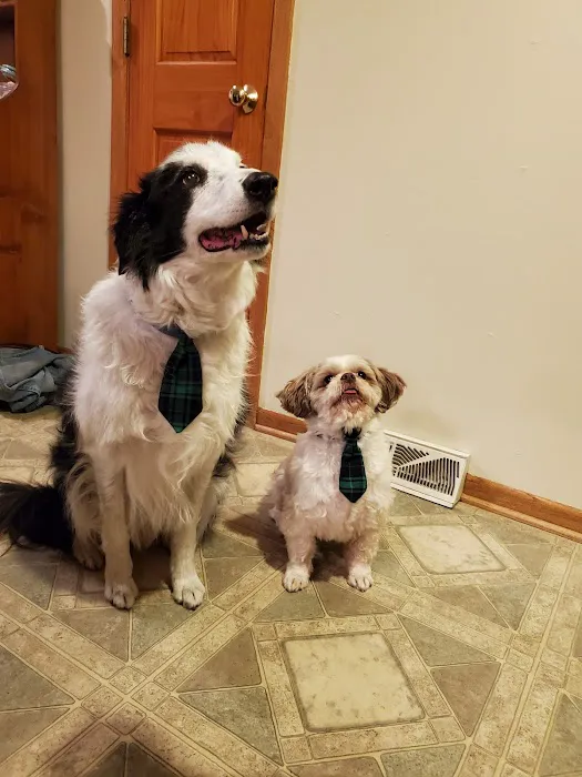 The Little Animal Hospital Picture 1