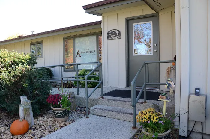 The Little Animal Hospital Picture 8