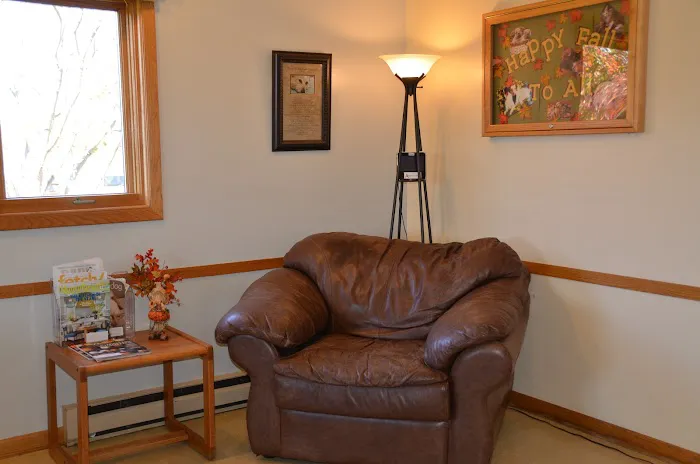 The Little Animal Hospital Picture 6