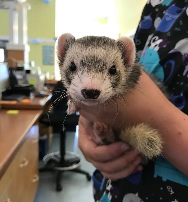 Best Friends Veterinary Center Picture 1