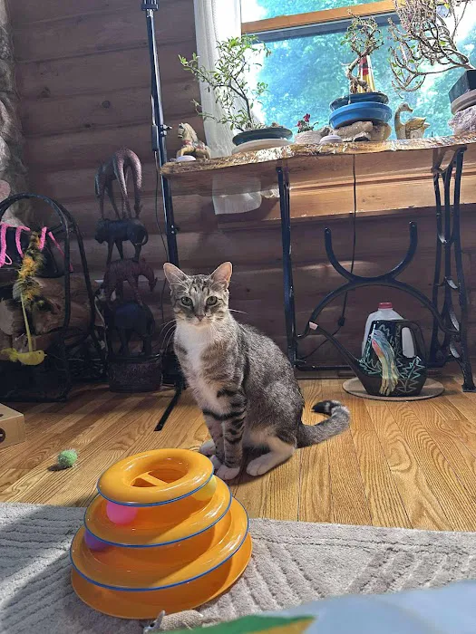 Best Friends Veterinary Center Picture 6