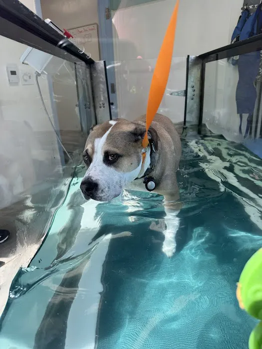 Best Friends Veterinary Center Picture 4