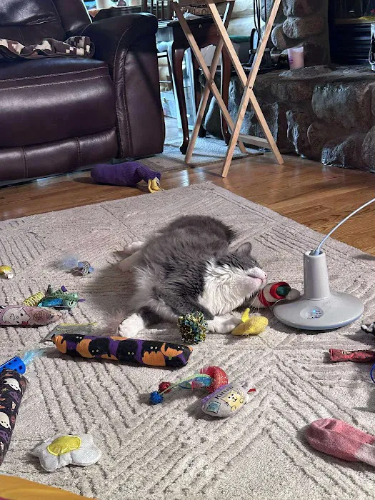 Best Friends Veterinary Center Picture 7