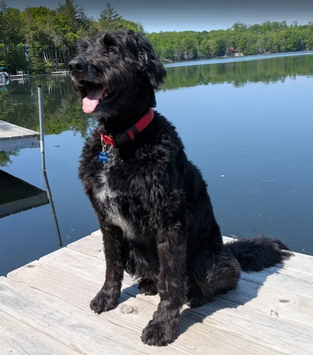 Best Friends Veterinary Center Picture 10