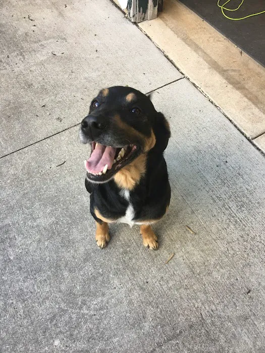 WVRC - Grafton Picture 1