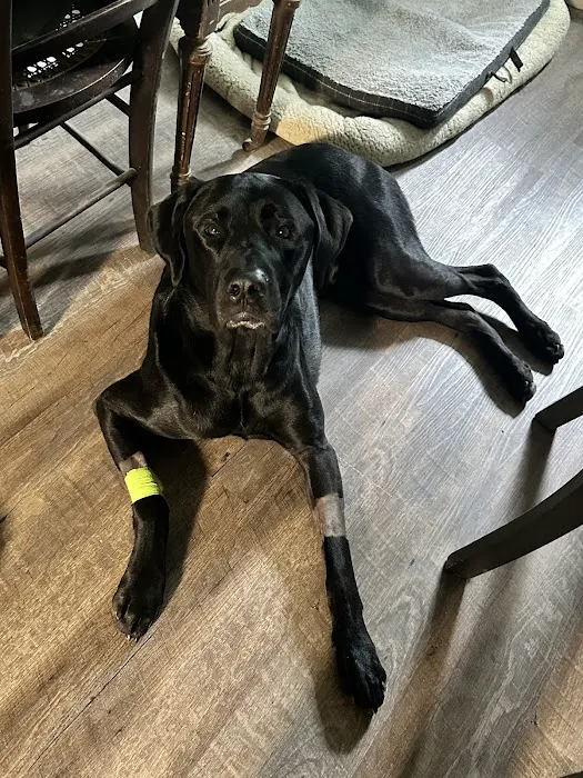 WVRC - Grafton Picture 2