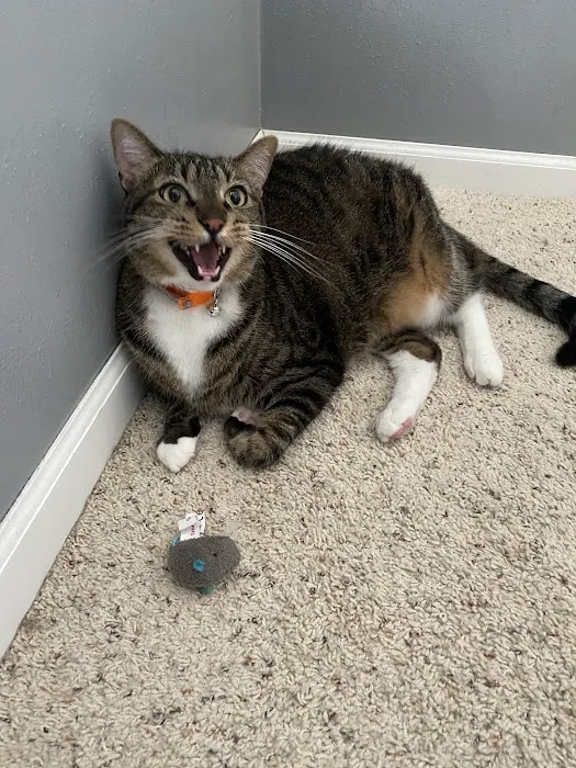 WVRC - Grafton Picture 4